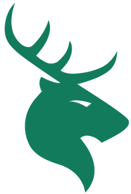 CENTRAL STAGS