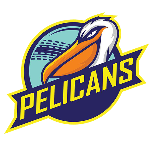 Pelicans