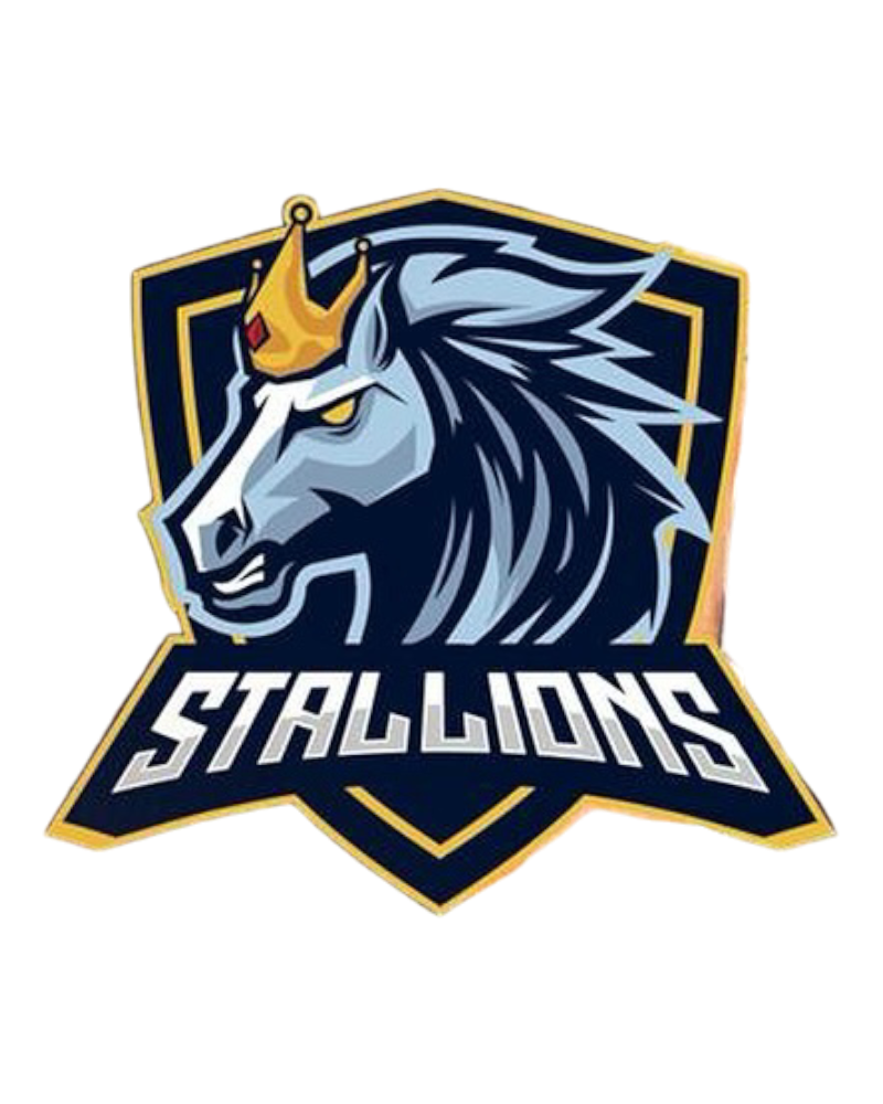 Saint Denis Stallions