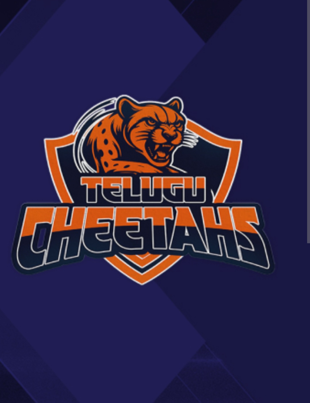 Telugu Cheetahs