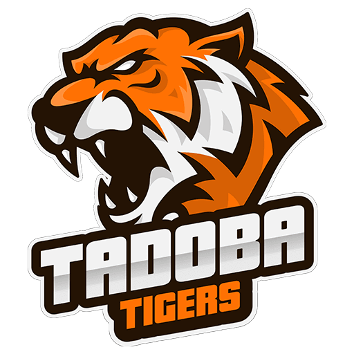 Tadoba Tigers