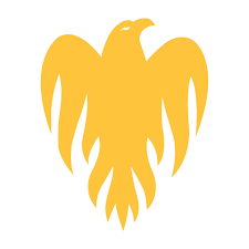 WELLINGTON FIREBIRDS