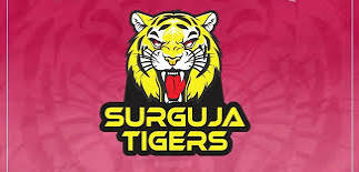 Surguja Tiger