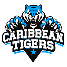 Caribbean Tiger