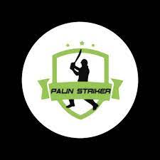 Palin Strikers